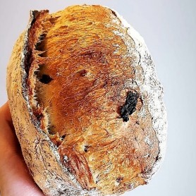 Walnut Raisin
