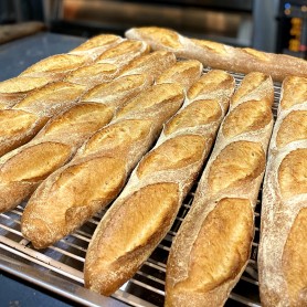French Baguette